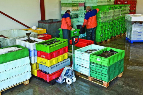 palleløfter til fødevareproduktion